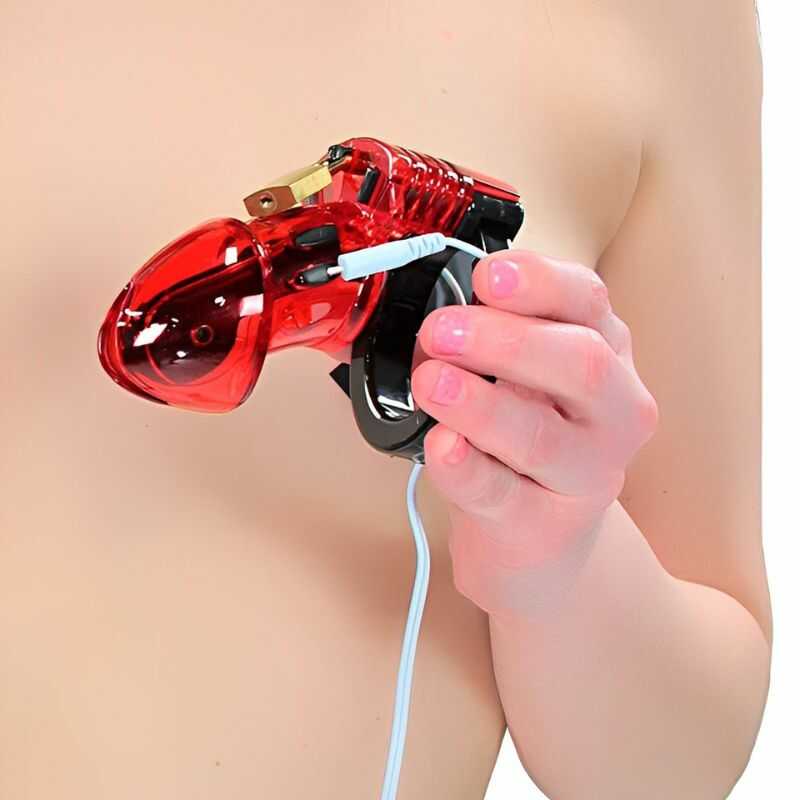 Miniature 2